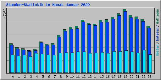 Stunden-Statistik im Monat Januar 2022