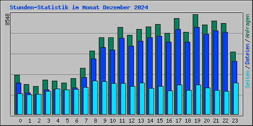 Stunden-Statistik im Monat Dezember 2024