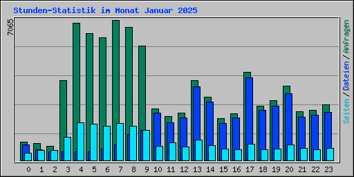 Stunden-Statistik im Monat Januar 2025