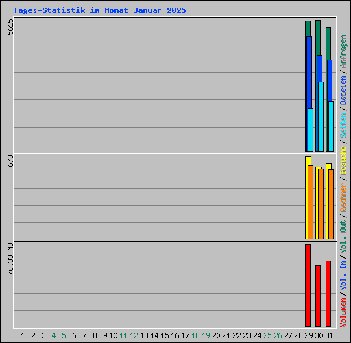 Tages-Statistik im Monat Januar 2025